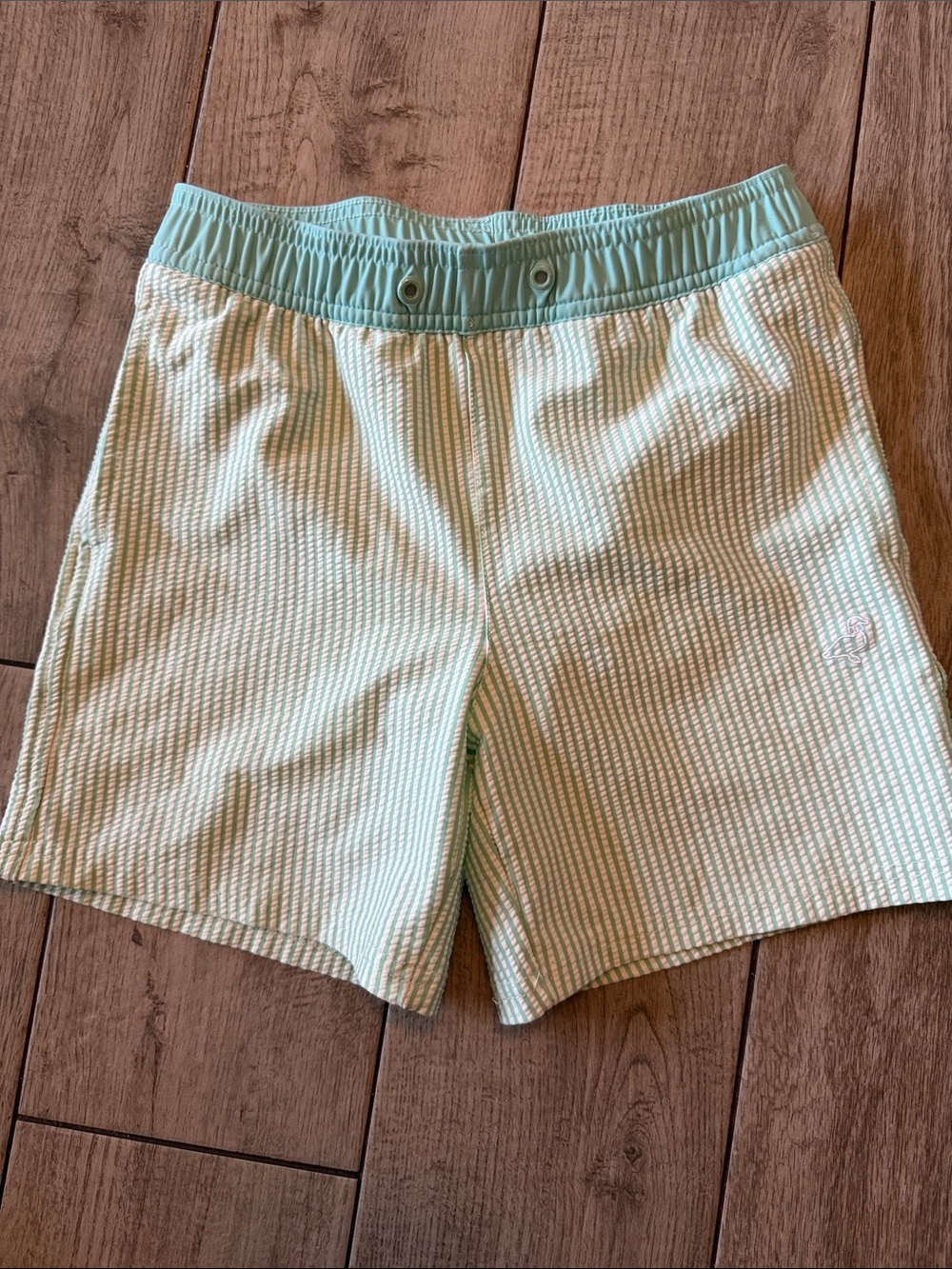 Properly Tied Alex Swim Short in light Mint Seersucker Sz 6